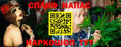 гашик Кулебаки