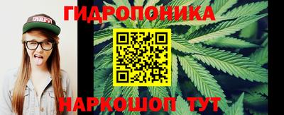 гашик Кулебаки
