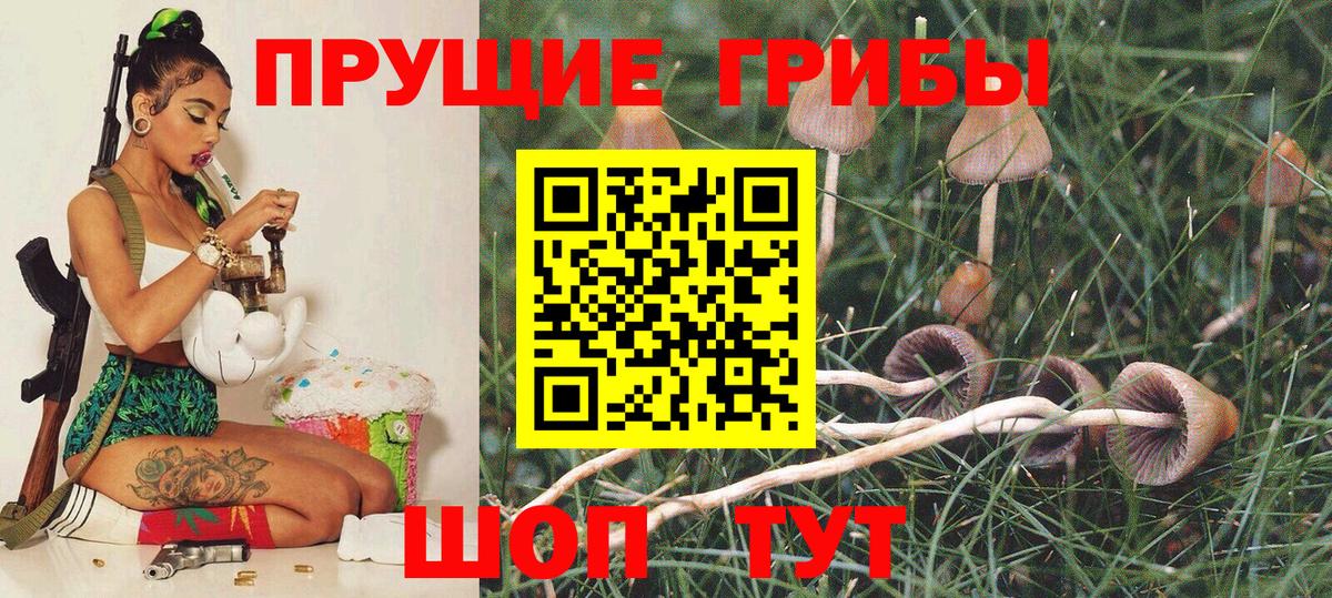 Псилоцибиновые грибы мухоморы  Вход с VPN  Воркута  Псилоцибиновые грибы ЛСД 